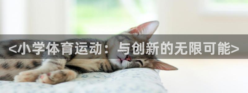 k1体育网址是多少：<小学体育运动：与创新的无限可能>