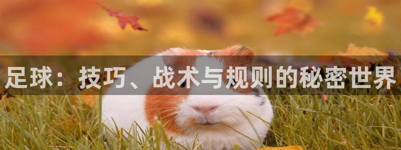 k1体育app下载：足球：技巧、战术与规则的秘密世界