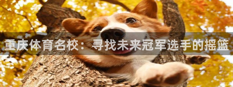 k1体育十年品牌值得信赖网址：重庆体育名校：寻找未来冠军选手的摇篮