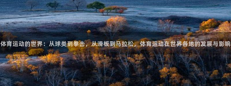 k1体育十年品牌值得信赖：体育运动的世界：从球类到拳击，从滑板到马拉松，体育运动在世界各地的发展与影响