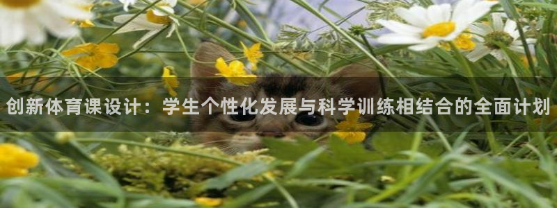帮k1体育在线登录：创新体育课设计：学生个性化发展与科学训练相结合的全面计划