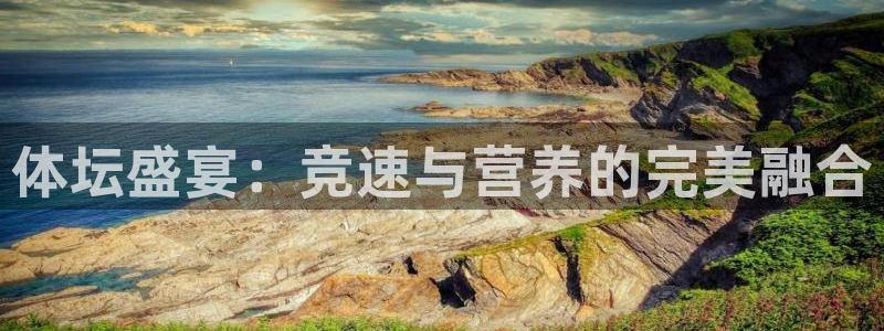 k1体育平台3915：体坛盛宴：竞速与营养的完美融合