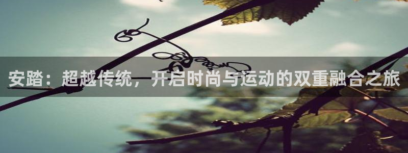 k1体育入口：安踏：超越传统，开启时尚与运动的双重融合之旅