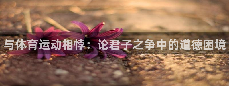 k1体育链接多少：与体育运动相悖：论君子之争中的道德困境